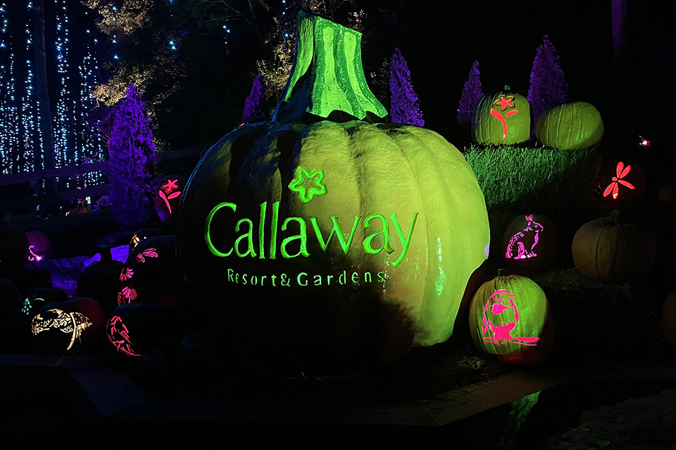 Pumpkins at Callaway is a fun fall event with glowing decor, a pumpkin patch, and a gigantic 