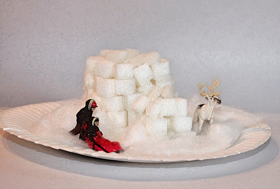 Indoor Craft for Kids: Sugar Cube Igloos Sugar cube castles and igloos are a sweet craft.