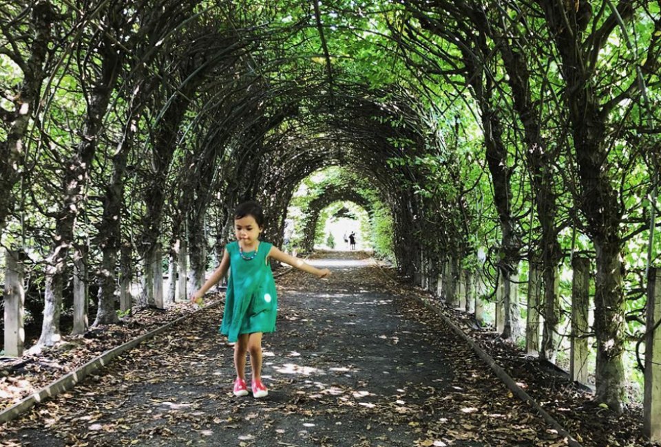 Field trip destinations in NYC: Snug Harbor