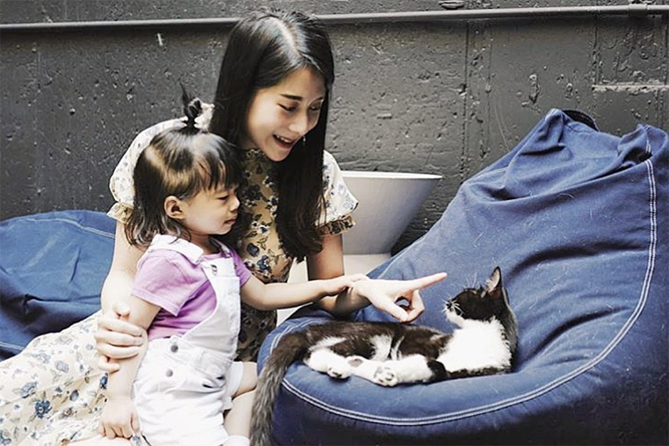 Best coffee shops in NYC: Koneko Cat Cafe