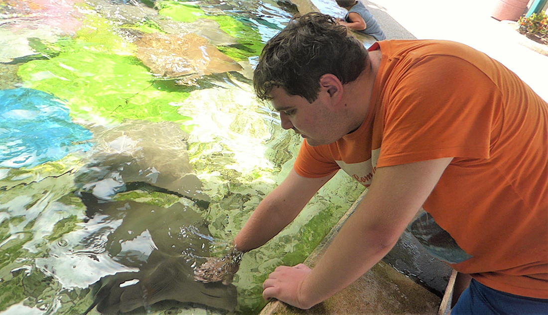 SeaWorld Orlando: Family Fun at This Awesome Aquatic Theme Park Reach your hand just below the surface, and you’re likely to feel a velvety “high five” as stingrays swim by. Photo by author