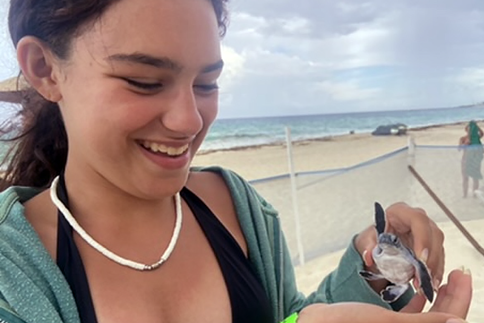 release a baby sea turtle Puerto Vallarta with Kids: 21 Best Things To Do in Puerto Vallarta, Mexico