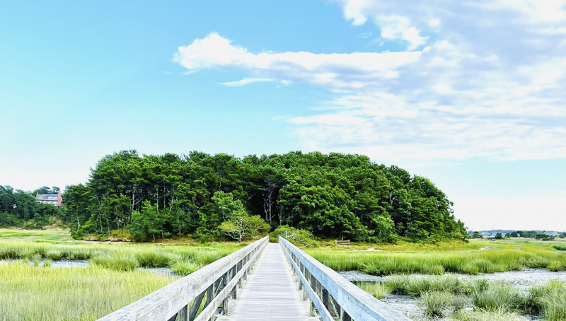 Photo of Wellfleet Wildlife Sanctuary on Cape Cod.